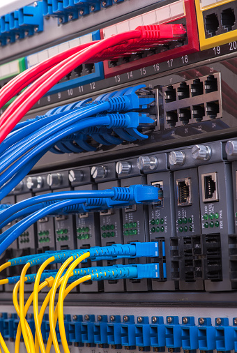 Structured network cabling and switches for a business network